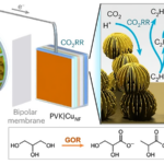 Artificial Leaves and Copper Nanoflowers: Turning CO2 to Hydrocarbons