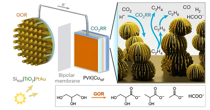 Artificial Leaves and Copper Nanoflowers: Turning CO2 to Hydrocarbons