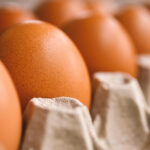 Eggflation: Why Are Egg Prices So High? What Can the U.S. Government Do?