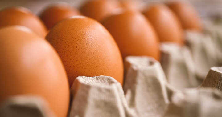 Eggflation: Why Are Egg Prices So High? What Can the U.S. Government Do?