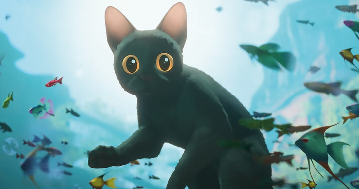 Award-Winning Animated Movie “Flow” Sparks Interest in Black Cats