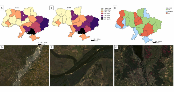 Satellite Data and AI Confirm Devastating Forest Loss in Ukraine Amid War